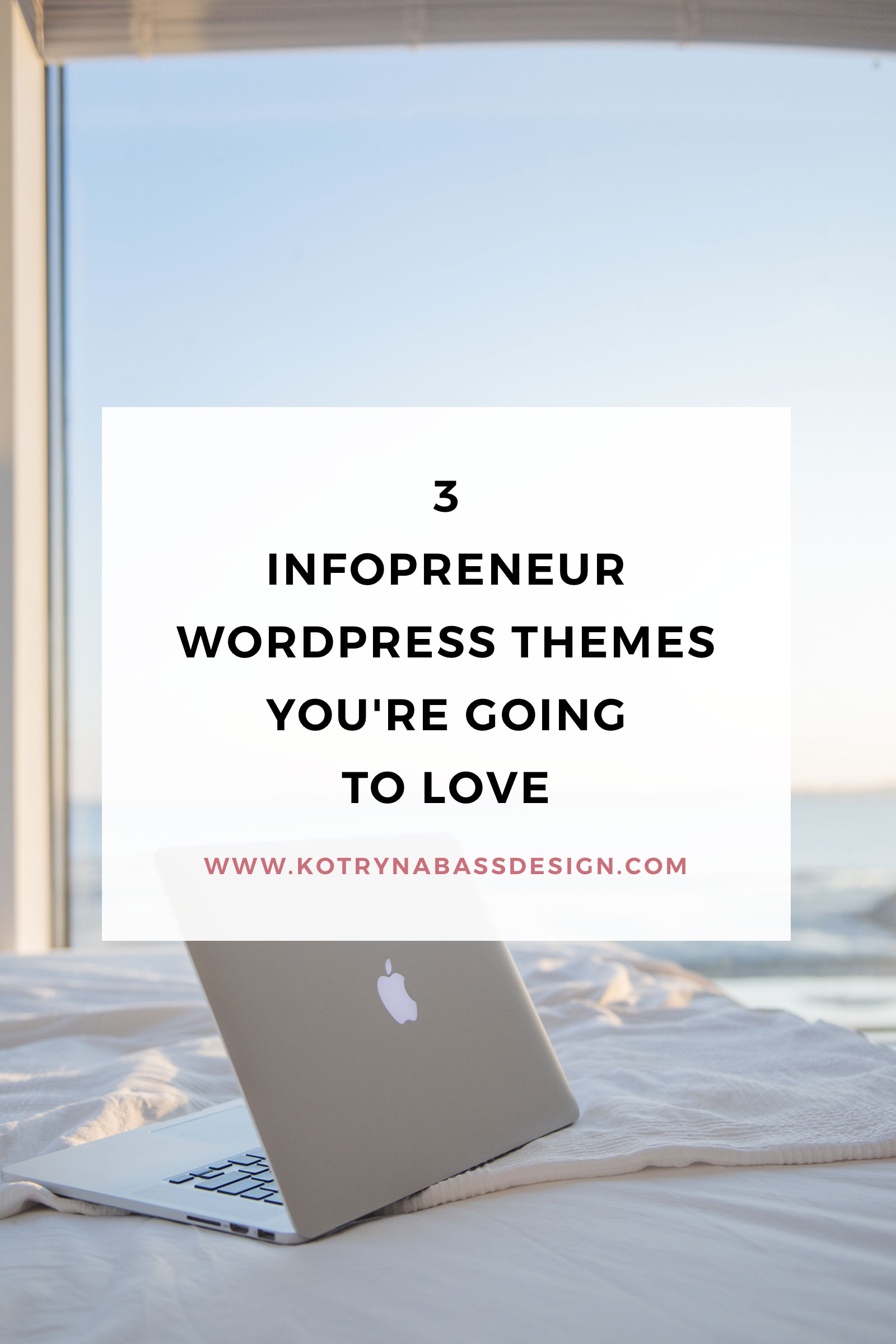 3 Infopreneur WordPress Themes You’re Going To Love